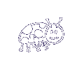 ladybird